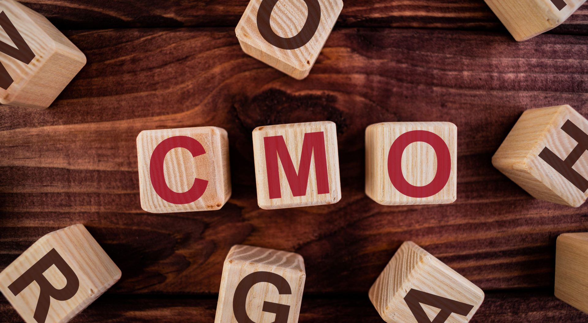 CMO Roundtable Roundup